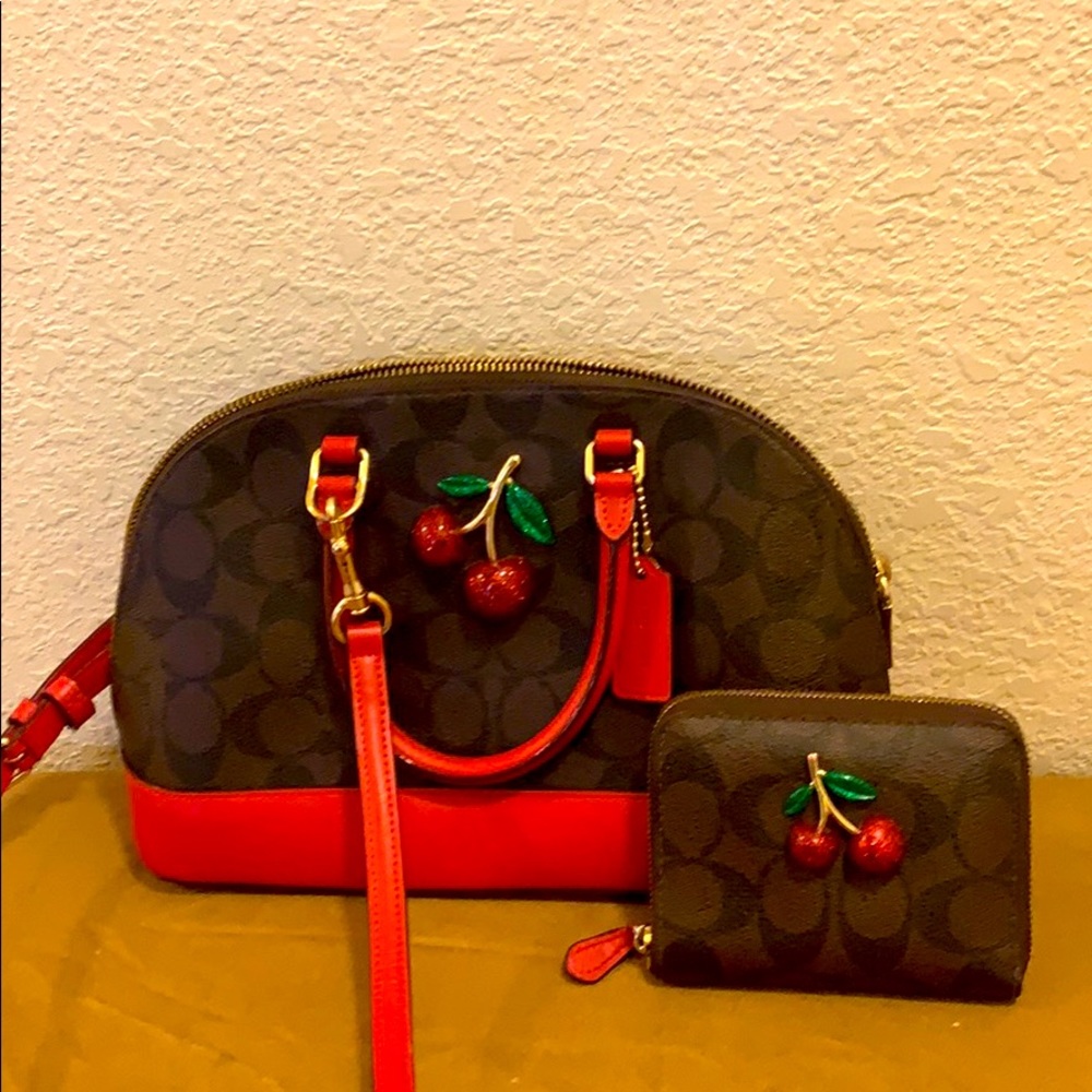Coach mini Sierra purse/wallet